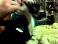 Playing-Wit-BV-s-Pus