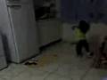 videos de Marcely