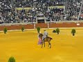 pasion y duende del caballo andaluz  sevillana