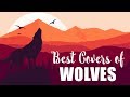 Best Covers of 'Wolves' (Selena Gomez, Marshmello)