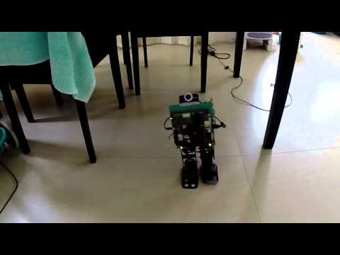 Super-Computer-On-Legs Jetson TK1 based robot