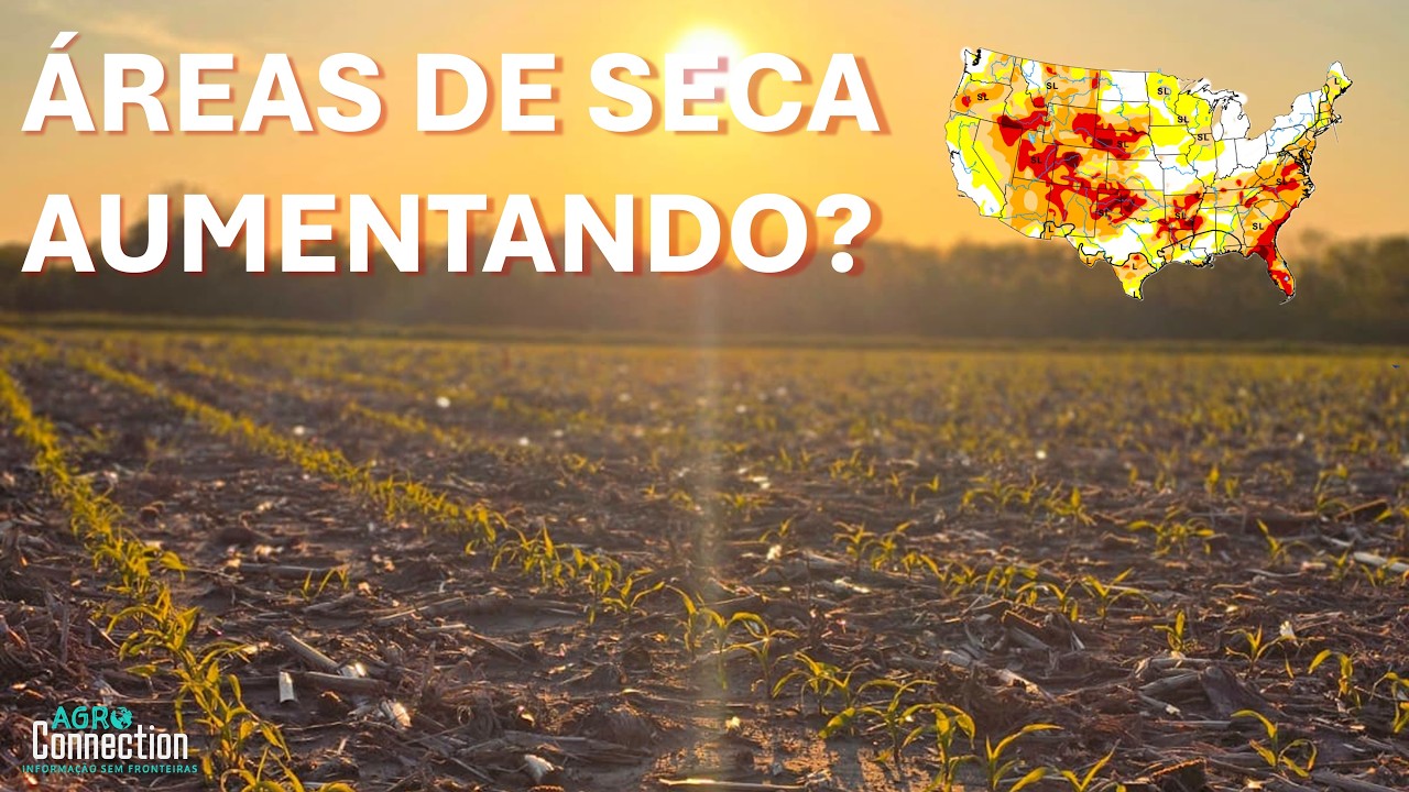 Safra Soja e Milho EUA 2026 - 8 de Junho - Áreas de Seca Aumentando?