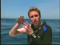 Philippe Cousteau with Animal Planet Philippe Cousteau with Animal Planet