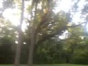 Suzie, Jackii, Bo & Holden exploring the backtrails at a park in nearby Spiritual Camp Cassadaga.