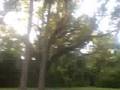 Our Trip to Cassadaga