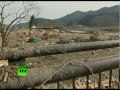 Video of Japan town wiped out by monster quake-tsunami