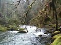 Beaver Creek Falls Video