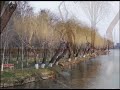 orasul bacau