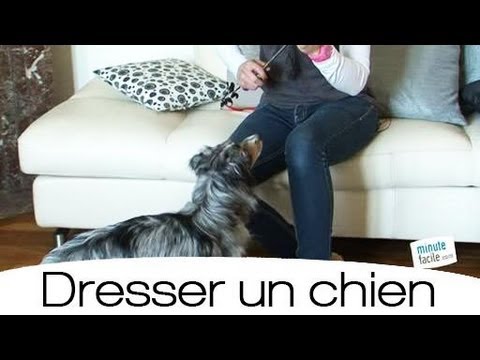 Dresser Votre Chien download - mixesanta Dresser Votre Chien download - mixesanta