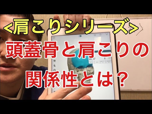 【肩こりシリーズ】頭蓋骨と肩こりの関係性とは？