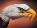 Handimals - Amazing Animal "Hand" Art!