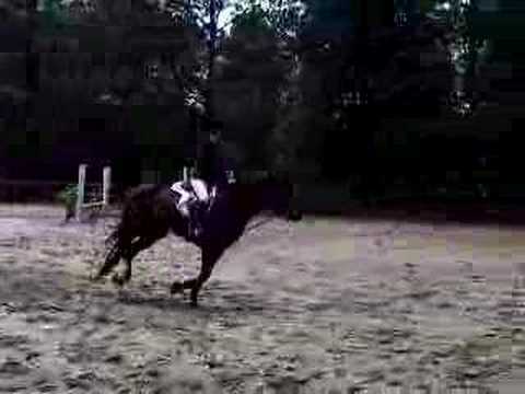 Emily's short stirrup
