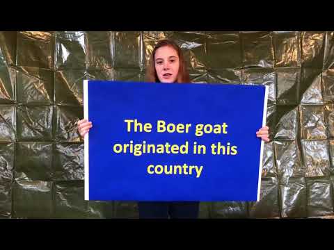 4th Place: Goat Jeopardy (Audience Favorite) Video Screenshot
