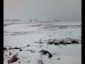 Cold as Ice(land)