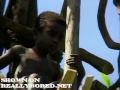tribe men jump 80 feet into the ground