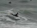 Cornwall Bodyboarding B-TEAM Cornwall Bodyboarding B-TEAM