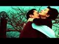 clip video Moriarty COTTONFLOWER