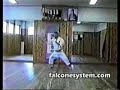 AN ICHI MIYAGI - SAIFA - FALCONE'S SYSTEM INTERNATIONAL