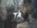 la putiSa dl emorap (video editado)