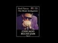 Rod Piazza - Bad Bad Boy