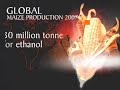 Global-food-shortage