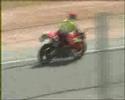 jarama cuñaos