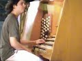 Saint-Saëns, Danse Macabre www.raulprieto.net
