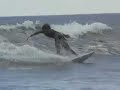costa rica surfing   playa jaco   e4costarica com