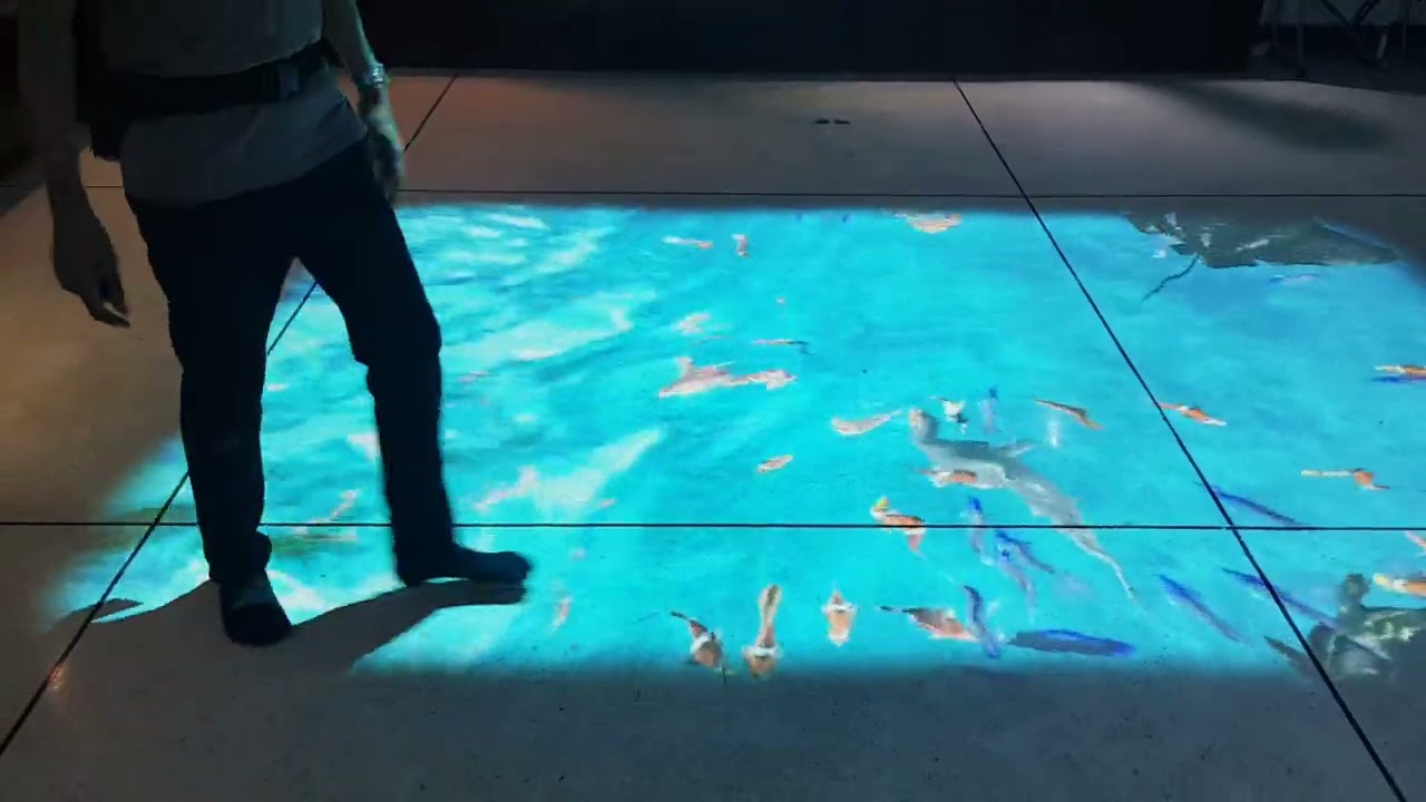 Interactive Sealifes Aquarium - by funplus.in.th
