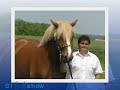 LT - Jk dolli Z�l?�