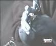Discovery Channel - Vida Artificial - BEAM