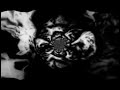 tim skold - the point
