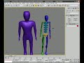 Bones in 3ds Max (Biped 1)