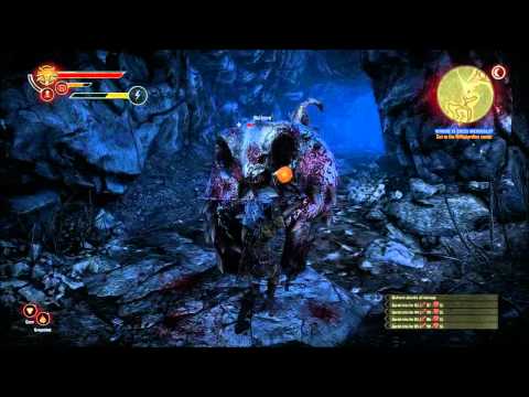 The Witcher 2 : Assassins of Kings