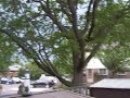 St. Catharines Tornado Watch 3