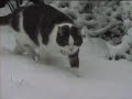 April snow ! (2008)