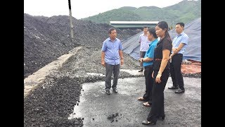 HĐND thành phố giám sát công tác vệ sinh môi trường tại các doanh nghiệp ngành Than