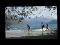 barloche.mpg