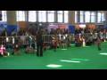 videos de ACADSE EXP. INT. JEREZ 2008-4.avi
