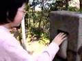 真言宗醍醐派別格山泉浄院