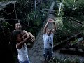 flirting parrot el salvador