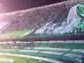 Vamo Subir Bugre!!!