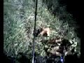 camera embarquer