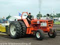 trekker filmpje