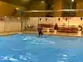 Running on Water! Running on Water!