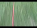 IN_RAINBOWS PROMO