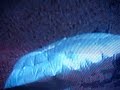 6 year old thought to be inside of run away balloon. - Part 2.