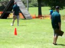 Ct police K9 olympics