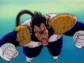 Goku vs. Vegeta