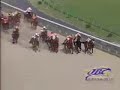 第2回JBCスプリント〔GⅠ〕